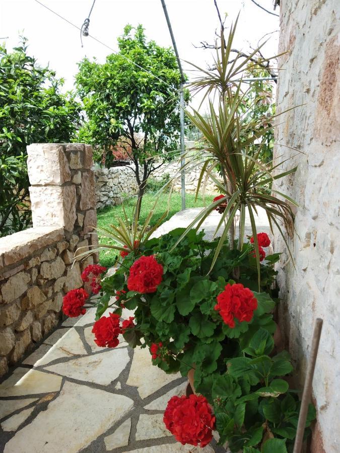 Altin Skrapari Guesthouse Ksamil Luaran gambar
