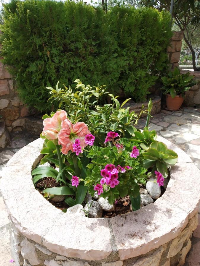 Altin Skrapari Guesthouse Ksamil Luaran gambar