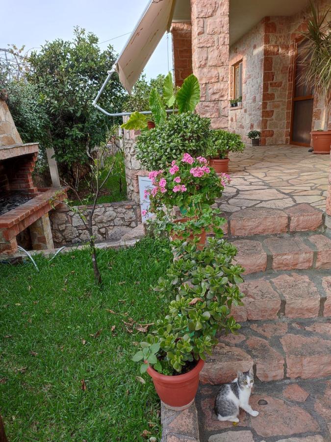 Altin Skrapari Guesthouse Ksamil Luaran gambar